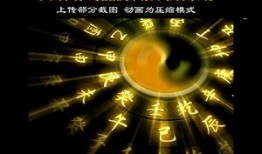 各种八卦爆料视频下载,八卦爆料视频背后的真相大揭秘