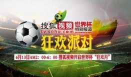 日本世界杯最新爆料视频,备战策略与神秘阵容曝光