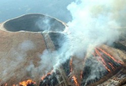 南安烧山最新爆料