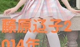 藤原辽子在线观看,探寻日本古典艺术的魅力