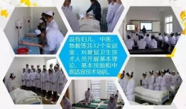 邳州热门爆料新闻,聚焦民生热点，揭秘社会现象