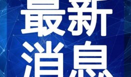 陈大锤最新爆料视频大全,揭秘娱乐圈幕后真相