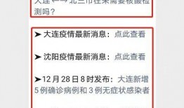 大连开发区最新爆料消息,产业升级与城市焕新双管齐下