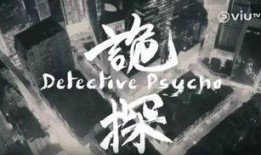 香港诡探在线观看,在线惊悚之旅，揭秘都市神秘面纱