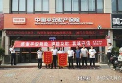 河南平安保险最新爆料,揭秘保险行业内幕，保障消费者权益！